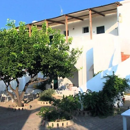 Petrusa