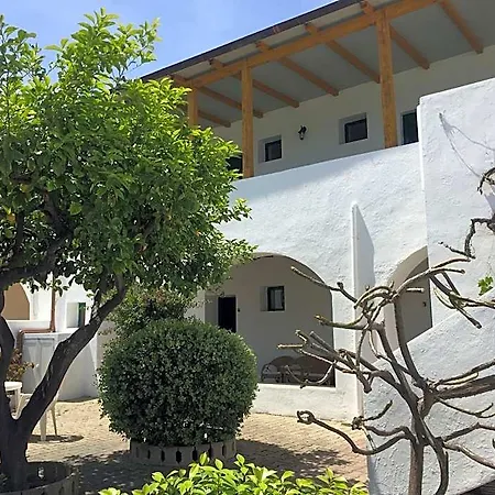 Petrusa 2*